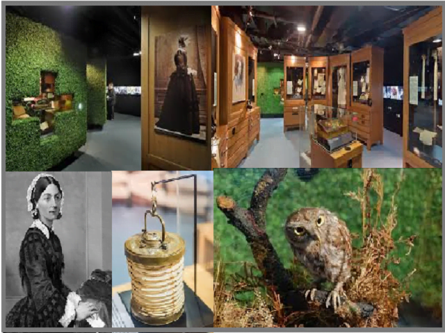 Florence Nightingale Museum