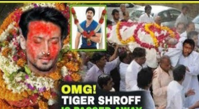 Fact: Tiger Shroff Dead or Alive