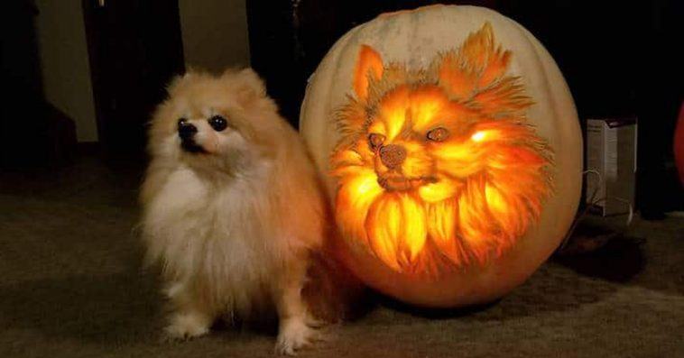 It's worth watching the video.  The dog father spent 3 hours carving the "dog lamp" exactly like his Pomeranian dog