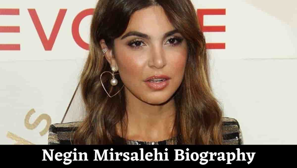 Negin Mirsalehi Wikipedia, before, Hair, Old Photos, Parents, Necklace