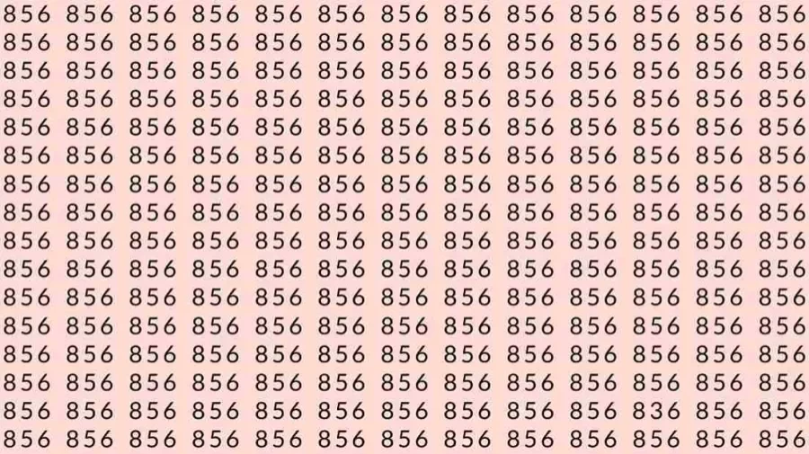 Observations Skills Testt: If you have Sharp Eyes find the number 836 among 856 in 7 Seconds?