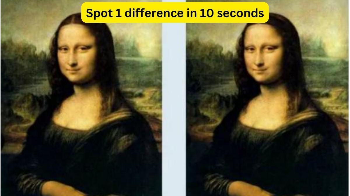 Spot 1 difference in 10 seconds