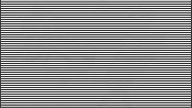 Only 2% of people were able to spot the animal hidden between the black and white lines in an image in 11 seconds.  S, what animal did you see?