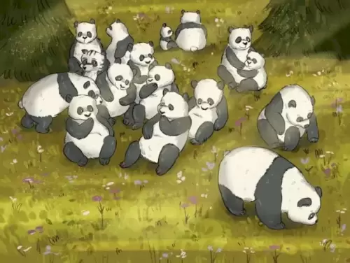 Only 2 percent of people can find which of these animals is not a panda