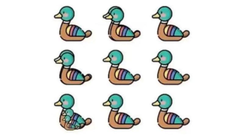 Only 3% of people can give the correct answer.  Try to guess the number of ducks in this optical illusion