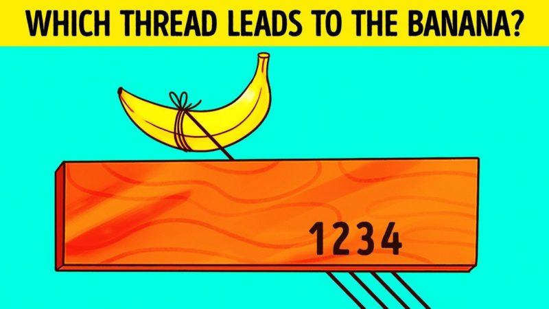 Only creative thinkers can see which rope leads to a banana in 7 seconds