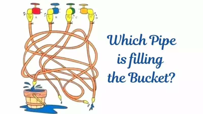 Only extremely smart people can figure out which pipe fills the bucket