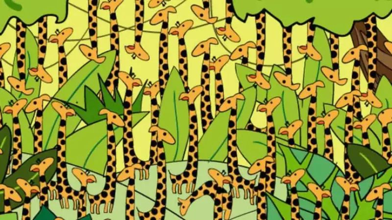 Only for geniuses.  Can you spot the snake hiding among the giraffes in 9 seconds?