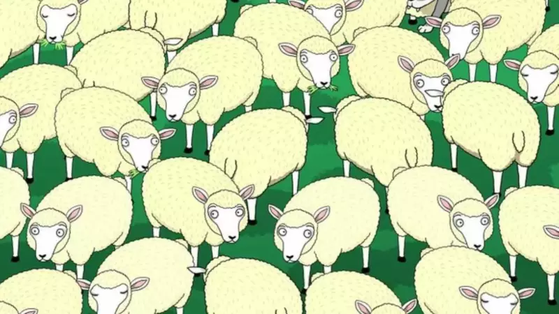 Only for smart people.  Try to find the wolf hiding in the sheep