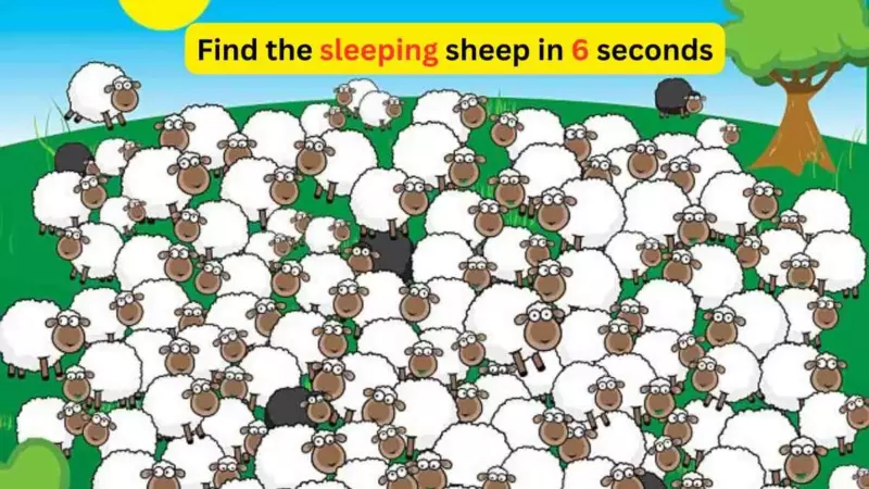 Only people with sharp eyesight can spot a sleeping sheep in the herd in 6 seconds.