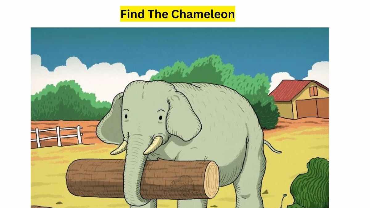 Do see a chameleon here?