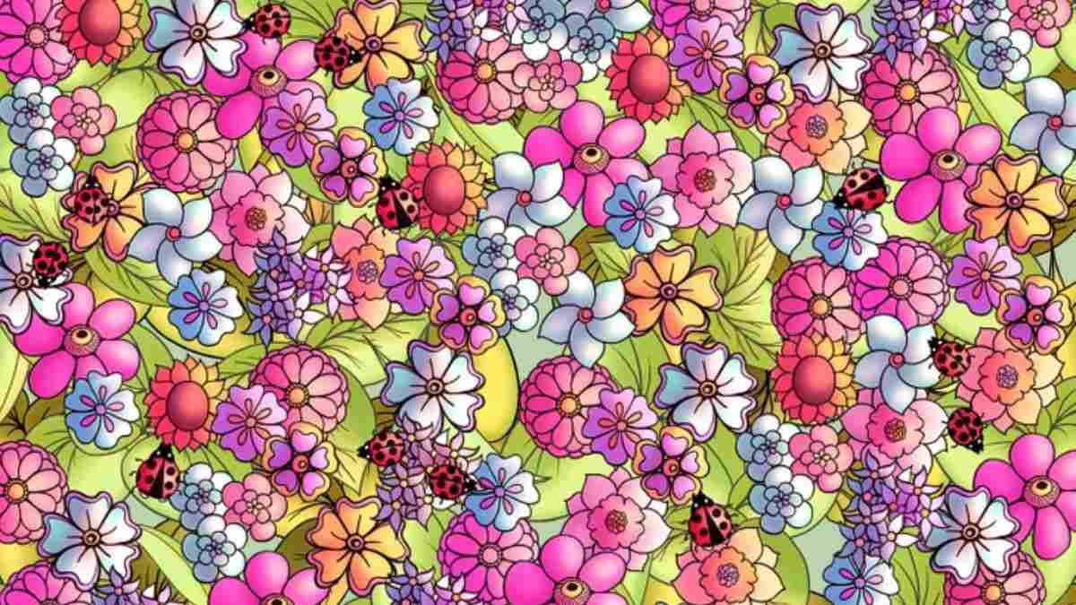 Can you find the Butterfly hidden among Flowers in 7 Secs?