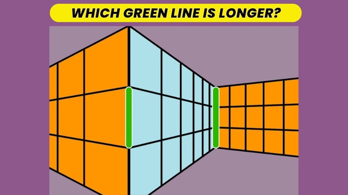 Optical Illusion: Only 2% of People Can Tell Which Green Line Is Longer In 5 Seconds