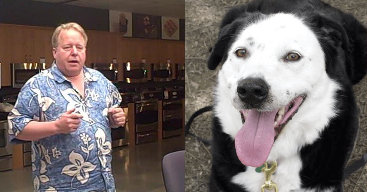 Overweight man with only 5 years to live comes to shelter to adopt overweight middle-aged dog