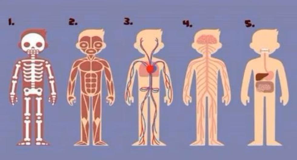 Personality test: choose the most important body part and see what it says about you