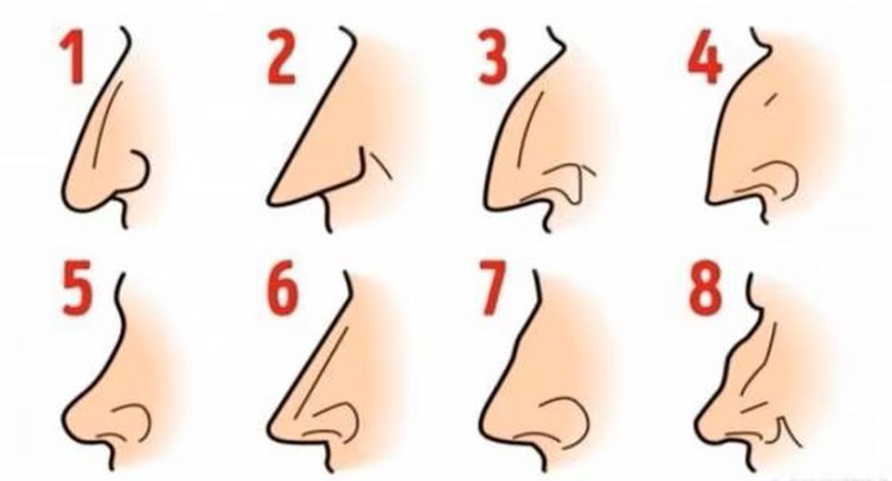 Personality test: find out what your nose is and discover your mental problems