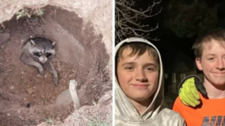 Photo.  A panda buried alive owes its life to kind children...