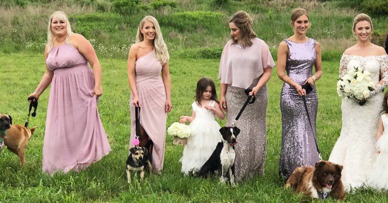 Photography.  The bridesmaids brought shelter dogs instead of flower bouquets to help them find permanent homes...!