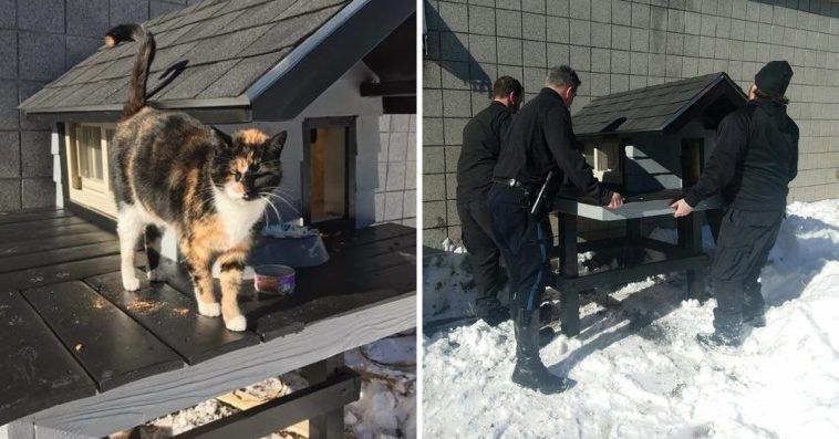 Police officers are building a "cat apartment" for a stray cat that regularly visits the police department