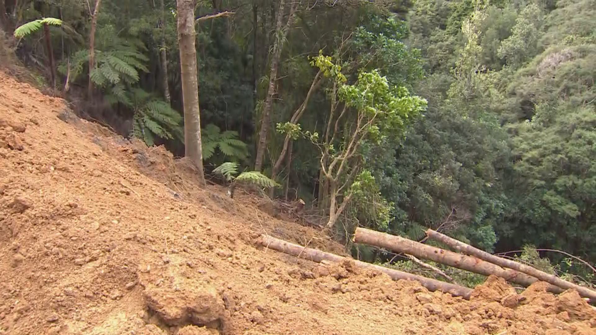 Whangateau Quad Bike Crash