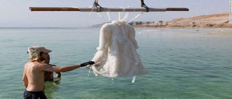 Really surprised.  Two years on the Dead Sea, the wedding dress turned into a work of art