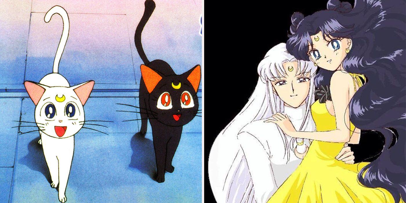 Sailor Moon: 15 Things You Didn’t Know About Luna And Artemis