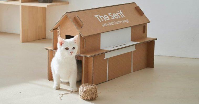 Samsung Electronics introduces a new TV package that can be turned into a home for cats