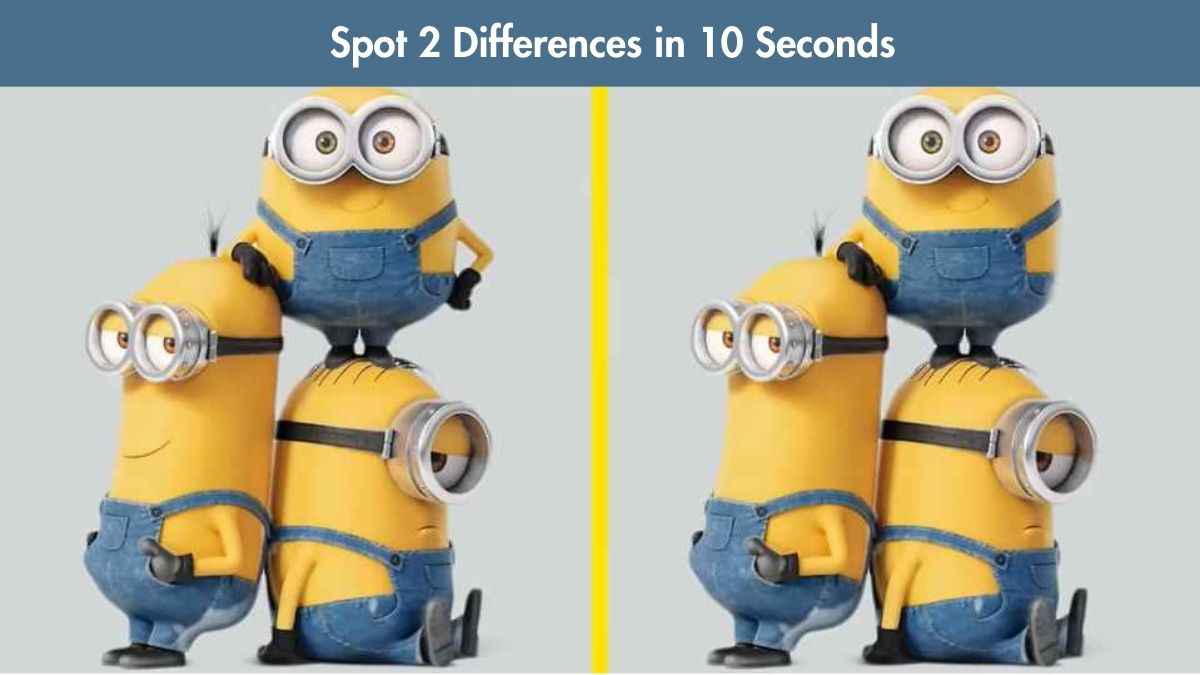 Spot the Difference : Spot 2 Differences in 10 Seconds