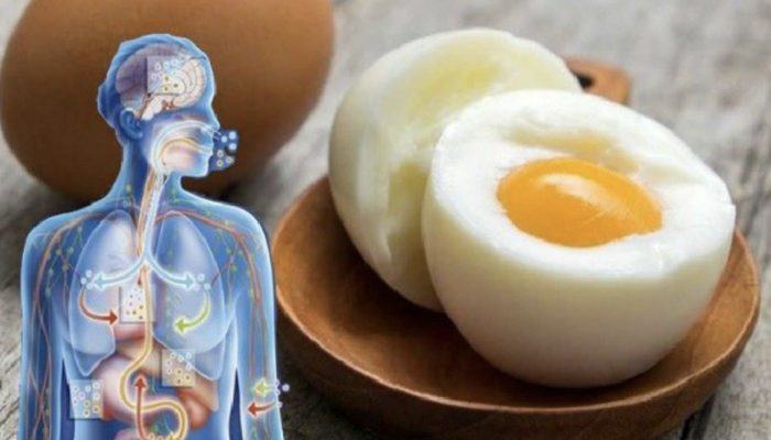 Start eating two eggs a day and you will notice these changes in your body