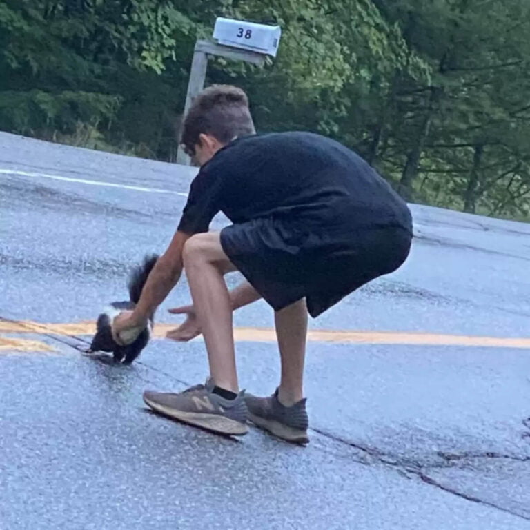 Teenager stops car to save animal with head in cup