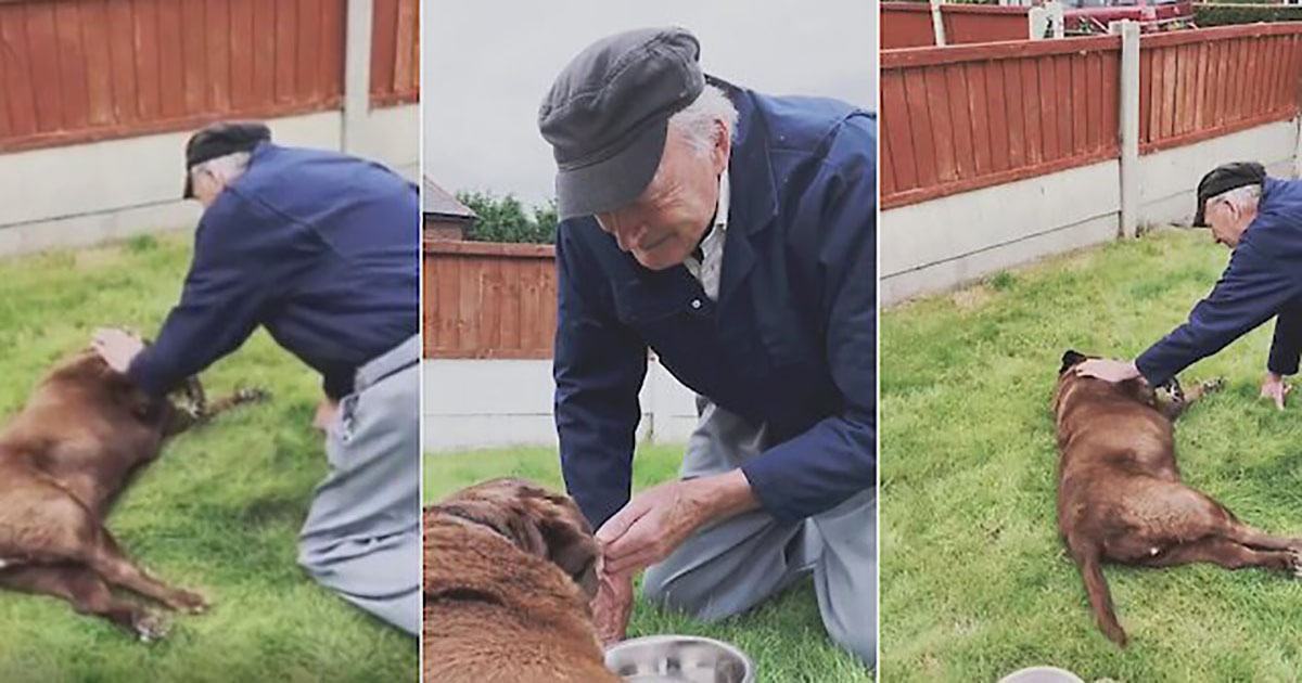 The 90-year-old neighbor respects and loves the dog Dy