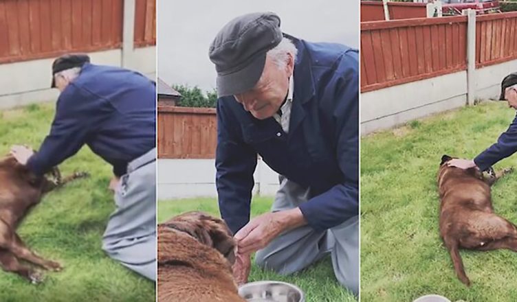 The 90-year-old old man bids farewell to the dying Goat