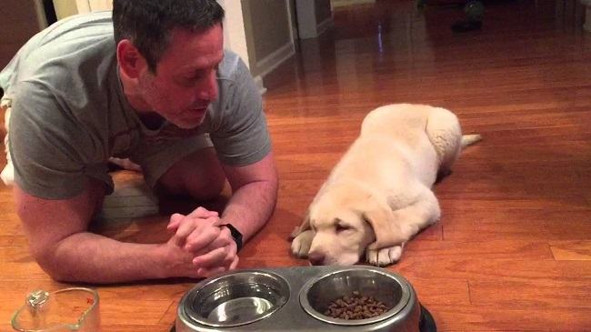 The adaptable dog has the best manners thanks to his dad