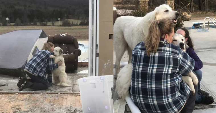 The dog had the sweetest reunion with his mother after Tornado destroyed Hσme!