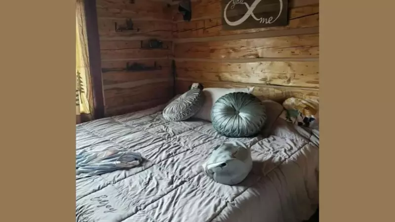 The dog is hidden in the bedroom.  You are a genius if you can spot a dog in 7 seconds.