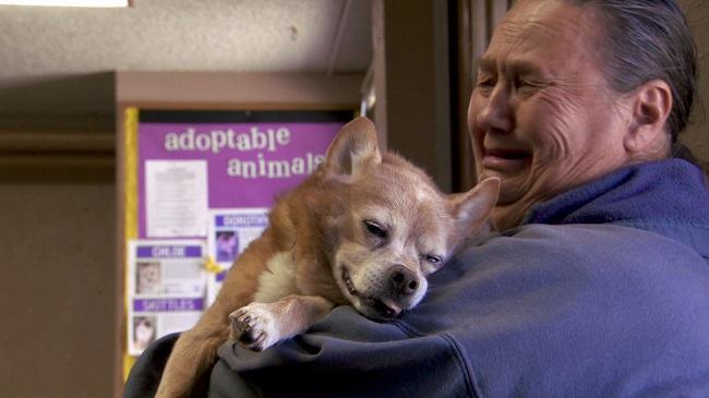 The dog's heart stopped beating in the owner's hand but was revived by a veterinarian in this unique video