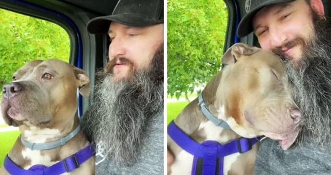 The dog's owner asked his dog "Do you love Daddy?"  The dog's reaction is priceless