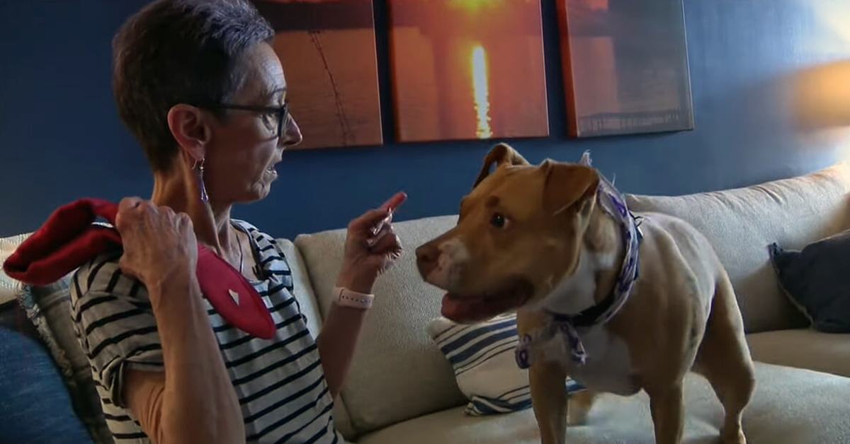 The dying woman's wish is to find a new home for her beloved dog