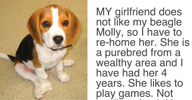 The girl said to her boyfriend "Either the dog goes or I go" - The answer conquers her boyfriend's social networks