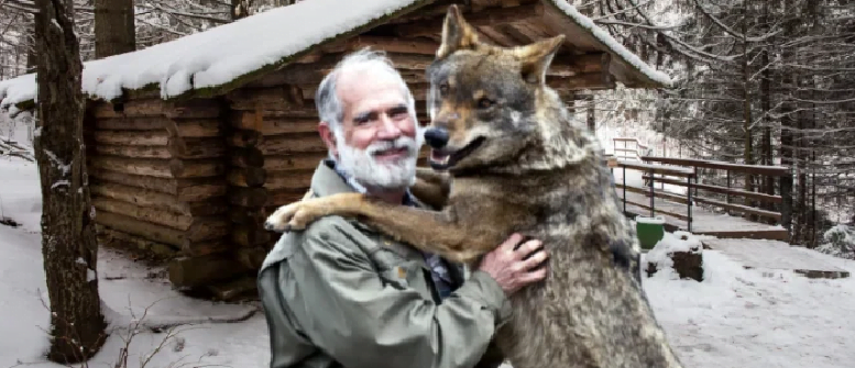 The jungler saved the injured wolf and she repayed him by pulling him out of the taiga forest.