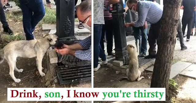 The man used his hand to get water from the faucet to give the stray dog ​​water to drink.  He quenches her thirst