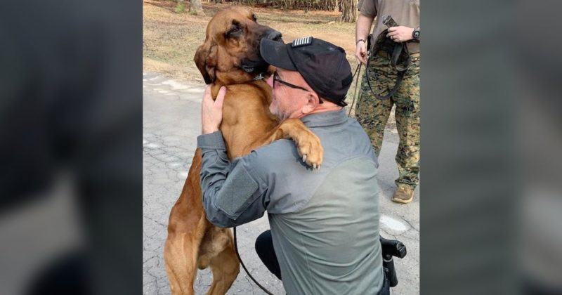 The missing K9 gives the handle the biggest 'hug' when they are finally reunited