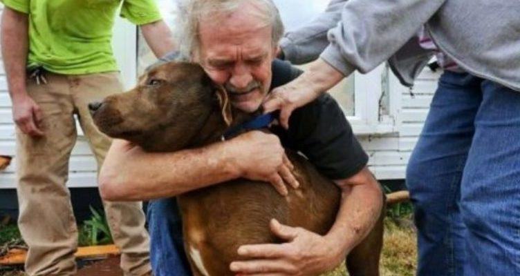 The old man with a suspended sentence had tears in his eyes because he did not have money for treatment