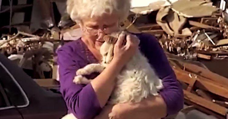 The story touches the heart.  Tornado victim found her long-lost cat in an interview, a month after the disaster!