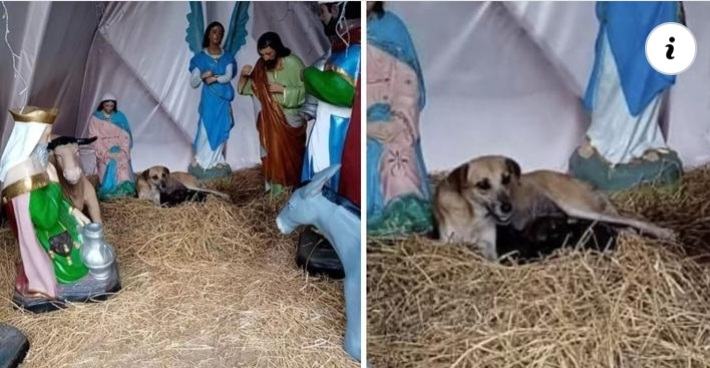 The stranger notices that she is gambling in the manger, but realizes that she is not alone