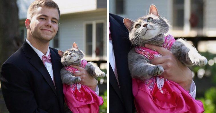 The teen couldn't find a prom date, so he took his cat instead