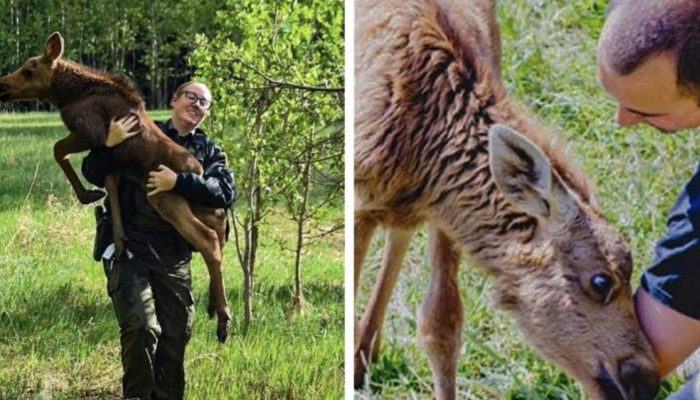 The young man saves the mouse.  See how an animal decides to say thank you