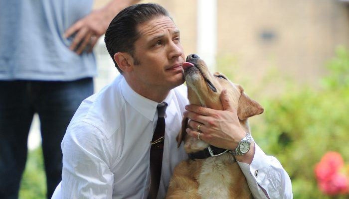 To encourage pet adoption, Tom Hardy brought his rescue dog to the movie premiere