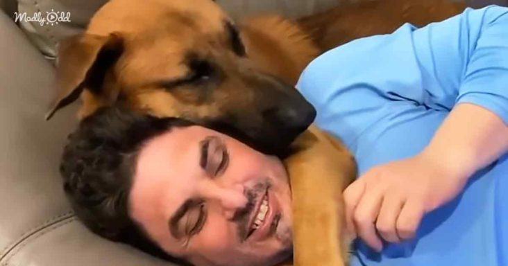 Videotapes.  A woman adopts a rescued puppy that instantly becomes its father's son