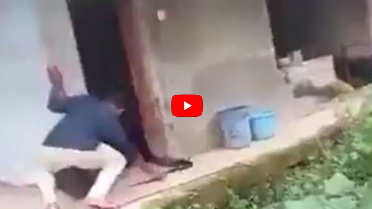 Viral video: Just being caught by the tail, the cobra showed a scary appearance, people panic!